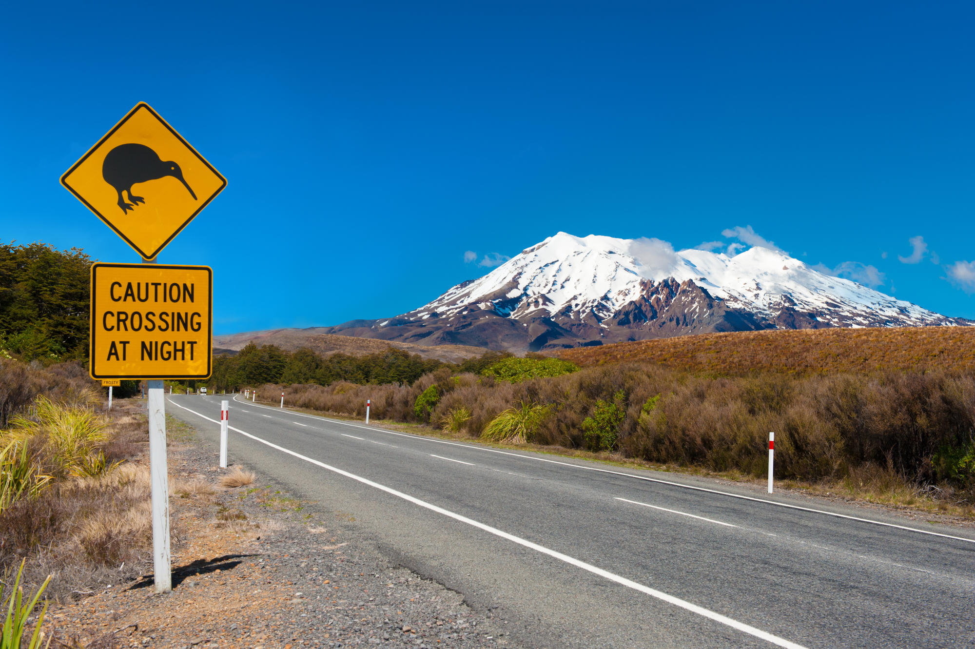Kiwi-Hinweisschild an der Straße zum Vulkan Mt. Ruapehu