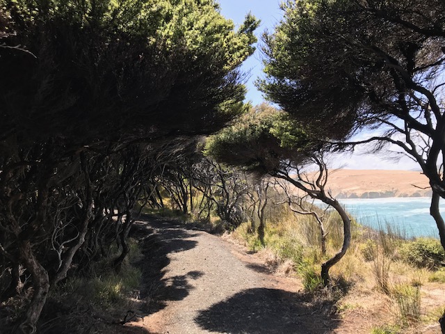 Ein kleiner Spaziergang in der Nähe mit Aussicht auf die Bucht von Oponi.